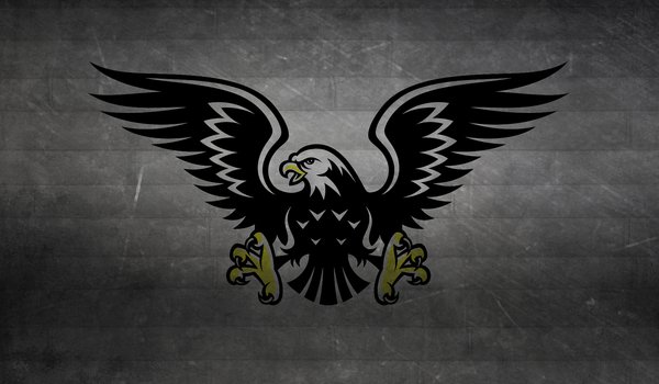 Обои на рабочий стол: eagle, hawk, когти, крылья, полосы, птица, темный фон, хищник, черно-белый, ястреб