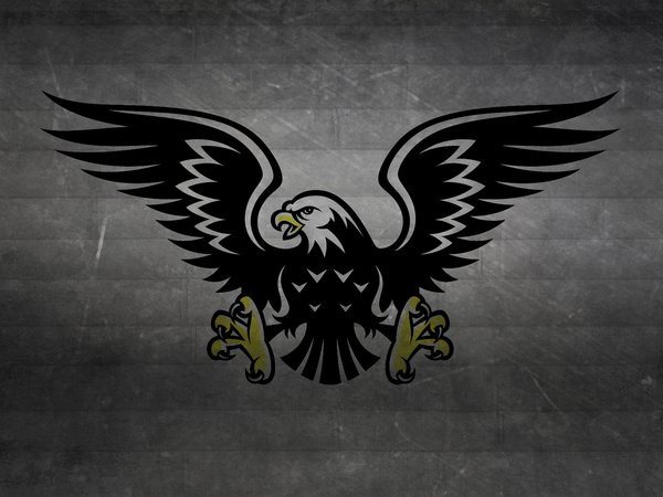 eagle, hawk, когти, крылья, полосы, птица, темный фон, хищник, черно-белый, ястреб
