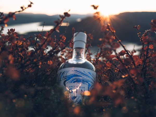 Arctic Blue Gin, Finland, nature, Арктический голубой джин, бутылка, джин, природа, Финляндия