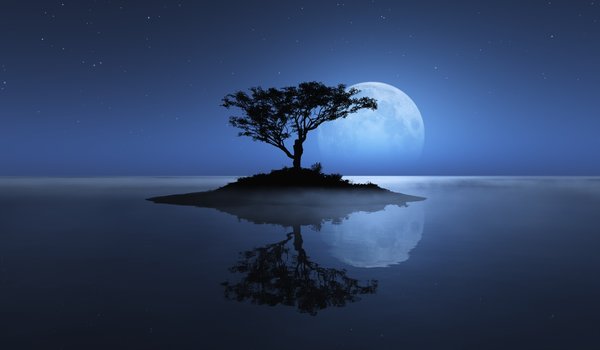 Обои на рабочий стол: дерево, луна, море, небо, остров
