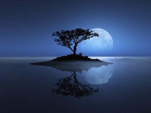 дерево, луна, море, небо, остров