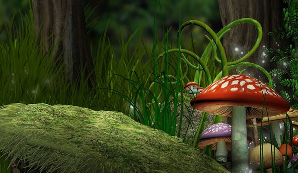 Обои на рабочий стол: forest, magic, mushroom, грибы, лес, мухоморы, папоротники, трава