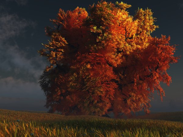 digital, red and gold, дерево, осень, трава