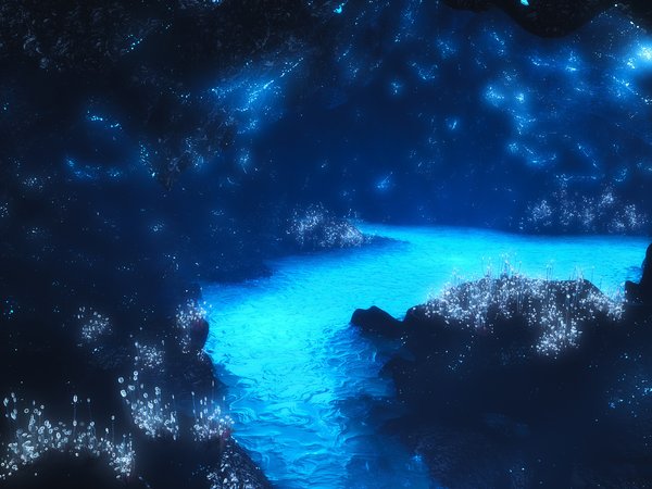 digital, starlight grotto, голубая река, неоновый свет, цветы