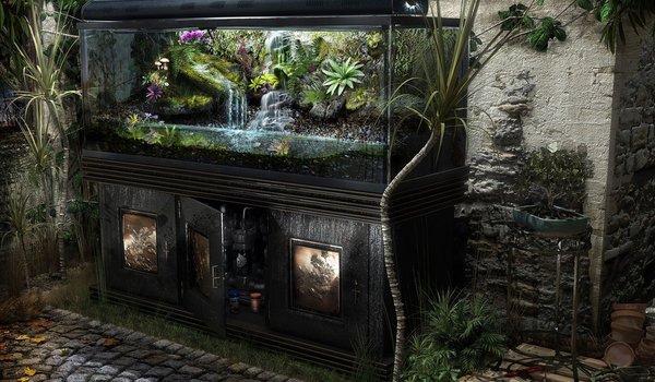 Обои на рабочий стол: аквариум, растения, реализм