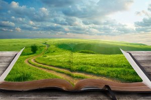 Обои на рабочий стол: дерево, дорога, закладка, книга, мир, облака, пейзаж, трава