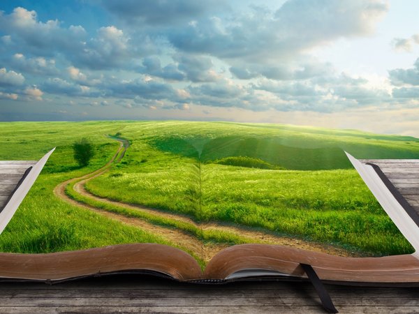 дерево, дорога, закладка, книга, мир, облака, пейзаж, трава