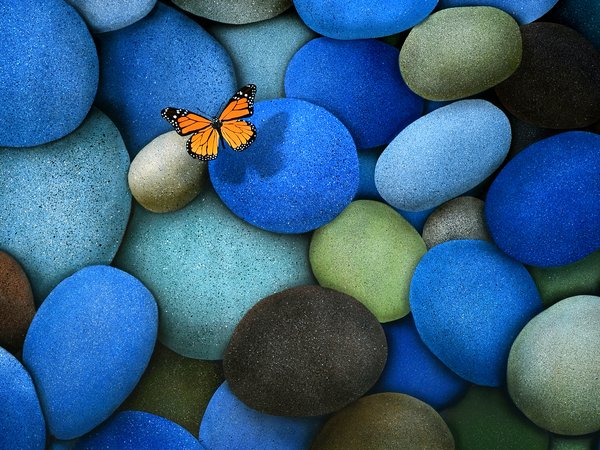 бабочка, голубые, камни, коричневые