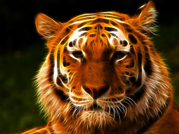 3D графика, взгляд, морда, тигр