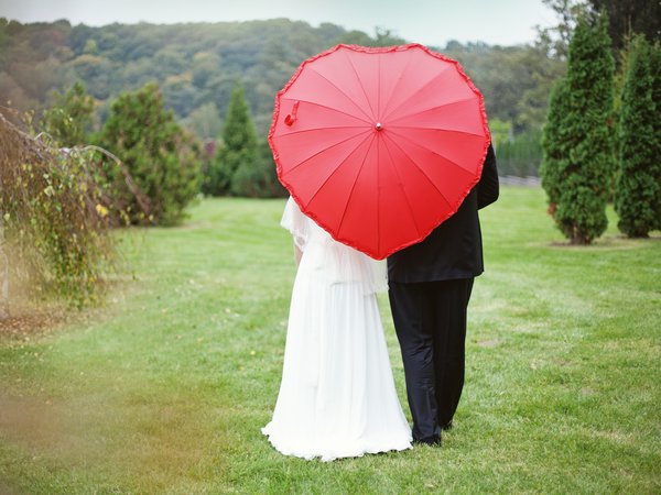 жених, зонт, лес, невеста, свадьба, сердце