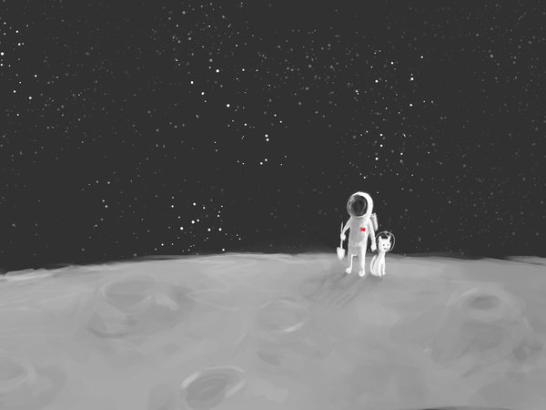 звезды, космонавт, кот, лопата, луна
