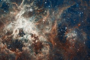 Обои на рабочий стол: NGC 2070, Золотая Рыба, созвездие, Тарантул, туманность