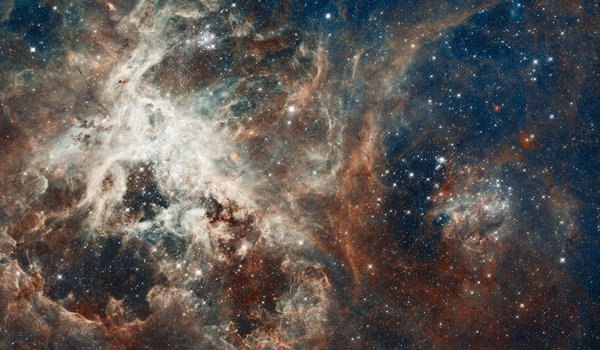 Обои на рабочий стол: NGC 2070, Золотая Рыба, созвездие, Тарантул, туманность