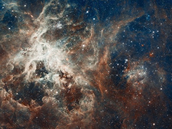 NGC 2070, Золотая Рыба, созвездие, Тарантул, туманность