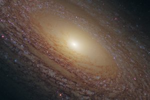 Обои на рабочий стол: NGC 2841, Большая Медведица., созвездие, спиральная галактика