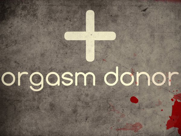 donor, orgasm, донор, минимализм, надпись, оргазм, оргазма, стиль жизни, юмор
