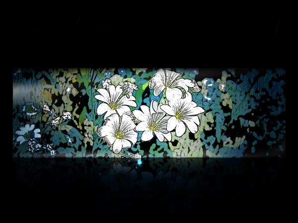минимализм, темный фон, узор, цветы