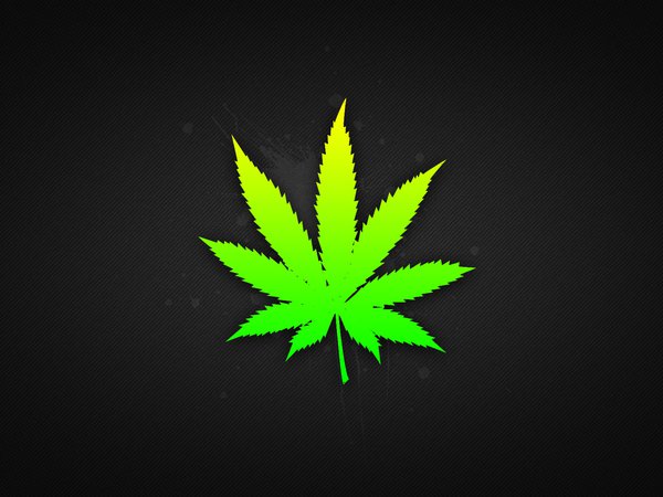 листья, марихуанна, травка