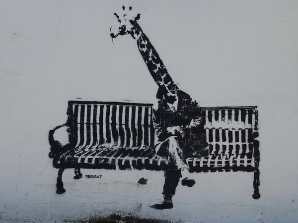 граффити, жираф, скамейка, стена, человек