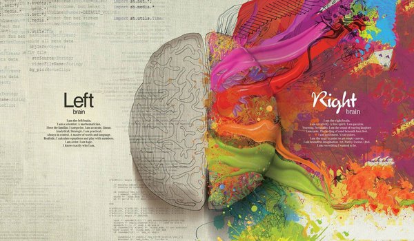 Обои на рабочий стол: краски, креатив, мозг, ум