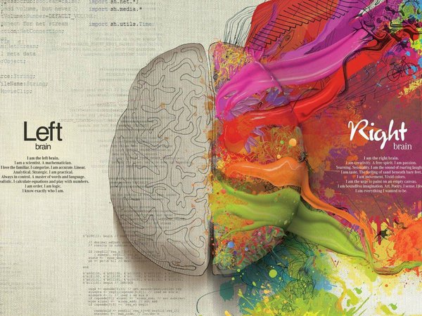 краски, креатив, мозг, ум