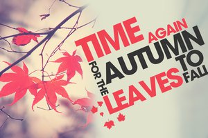 Обои на рабочий стол: time to fall, ветка, время года, листья, осень