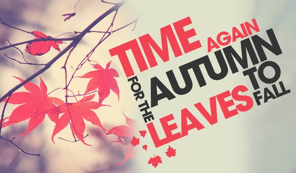 Обои на рабочий стол: time to fall, ветка, время года, листья, осень