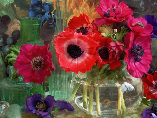 ваза, натюрморт, стекло, цветы