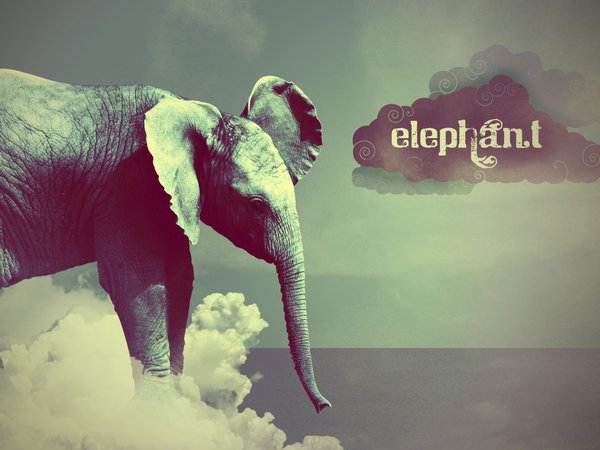 elephant, слон, стиль, туча