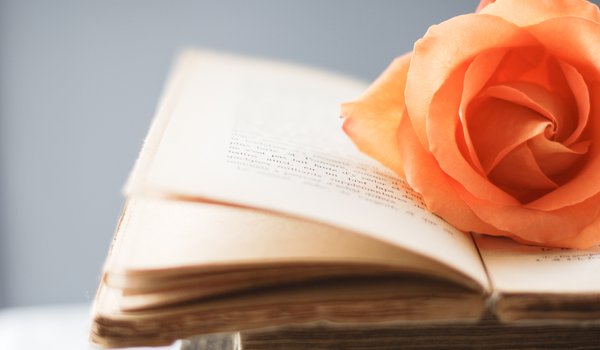 Обои на рабочий стол: wallpapers, книга, книжка, обои, оранжевый, роза, стиль, страницы, фон, цветочек, цветы