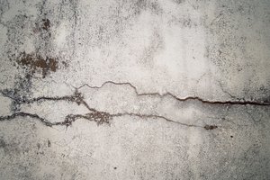 Обои на рабочий стол: crack in time, fancq, бетон, мох, стена, трещина