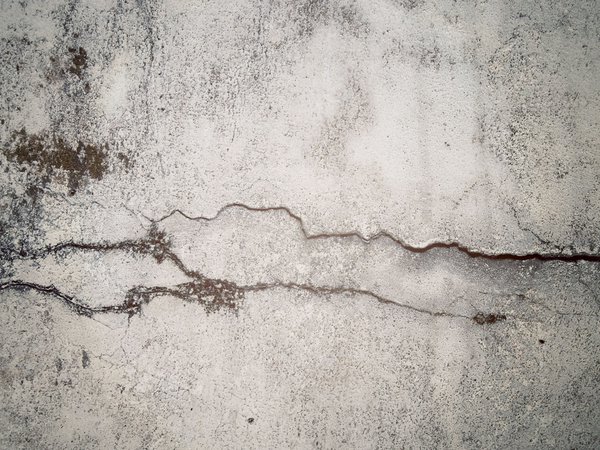 crack in time, fancq, бетон, мох, стена, трещина