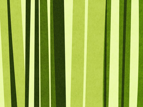 bamboo, green, бамбук, зеленый, полосы, текстура