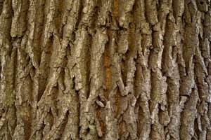 Обои на рабочий стол: Brown, dark, natural, tree, wood