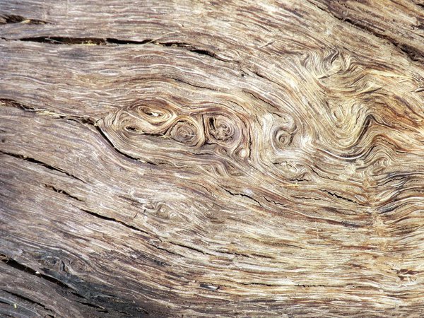 abstract, texture, wood