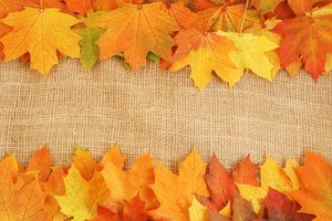 Обои на рабочий стол: листья, осень, фон, холст