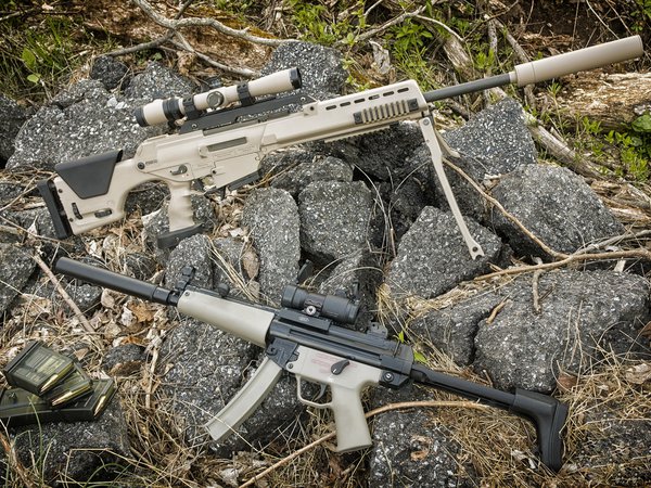 HK MP5A3-F, HK PSG-8w; пистолет-пулемёт, камни, обоймы, оружие, снайперская винтовка, трава