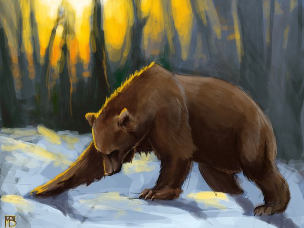 Brown bear, арт, закат, лес, медведь, снег, солнечные лучи