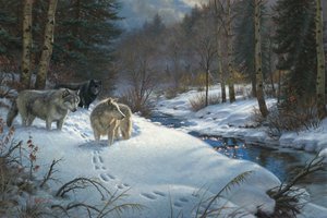 Обои на рабочий стол: Mark Keathley, Valley of Shadows, вечер, волки, живопись, животные, зима, лес, ручей, юрты
