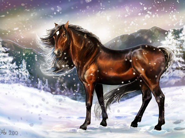 арт, взгляд, грива, живопись, животное, зима, лошадь, следы, снег, холод