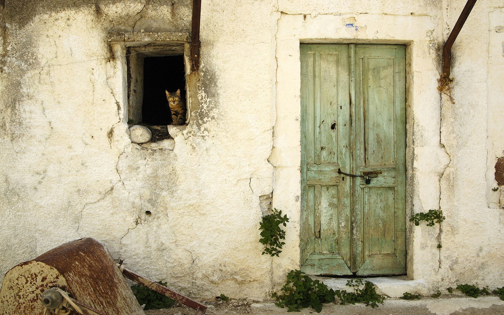 дом, кот, окно, разрушение