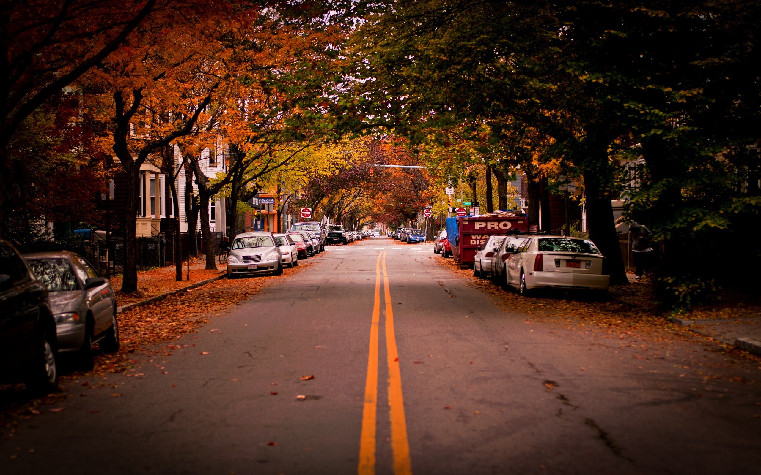 Листья на городских улицах без смс