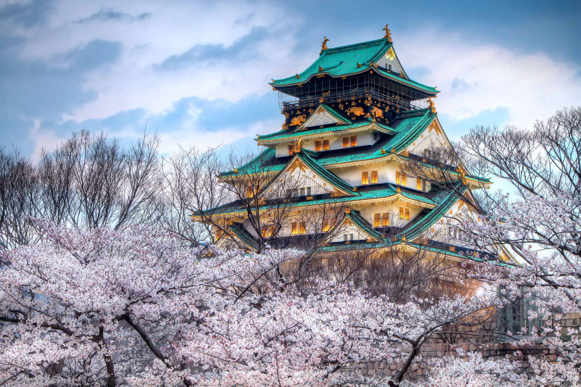 Цветание на фоне японского дворца загрузить