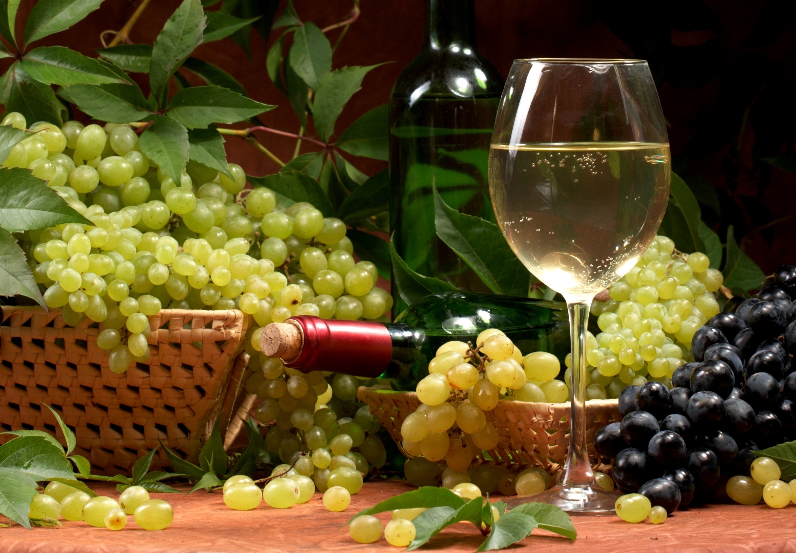 вино с фруктами на лужайке загрузить