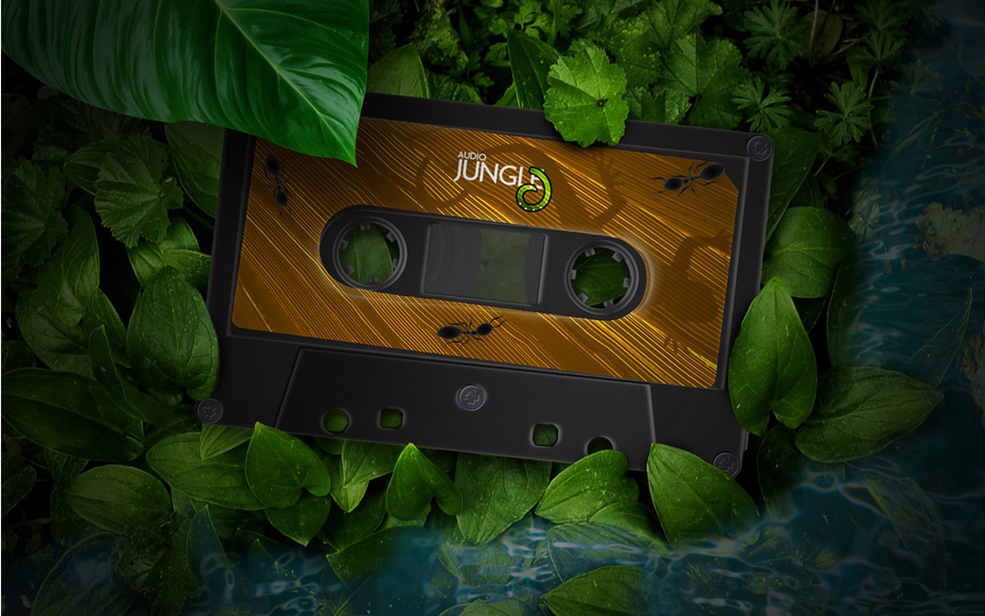 Jungle Audio без смс