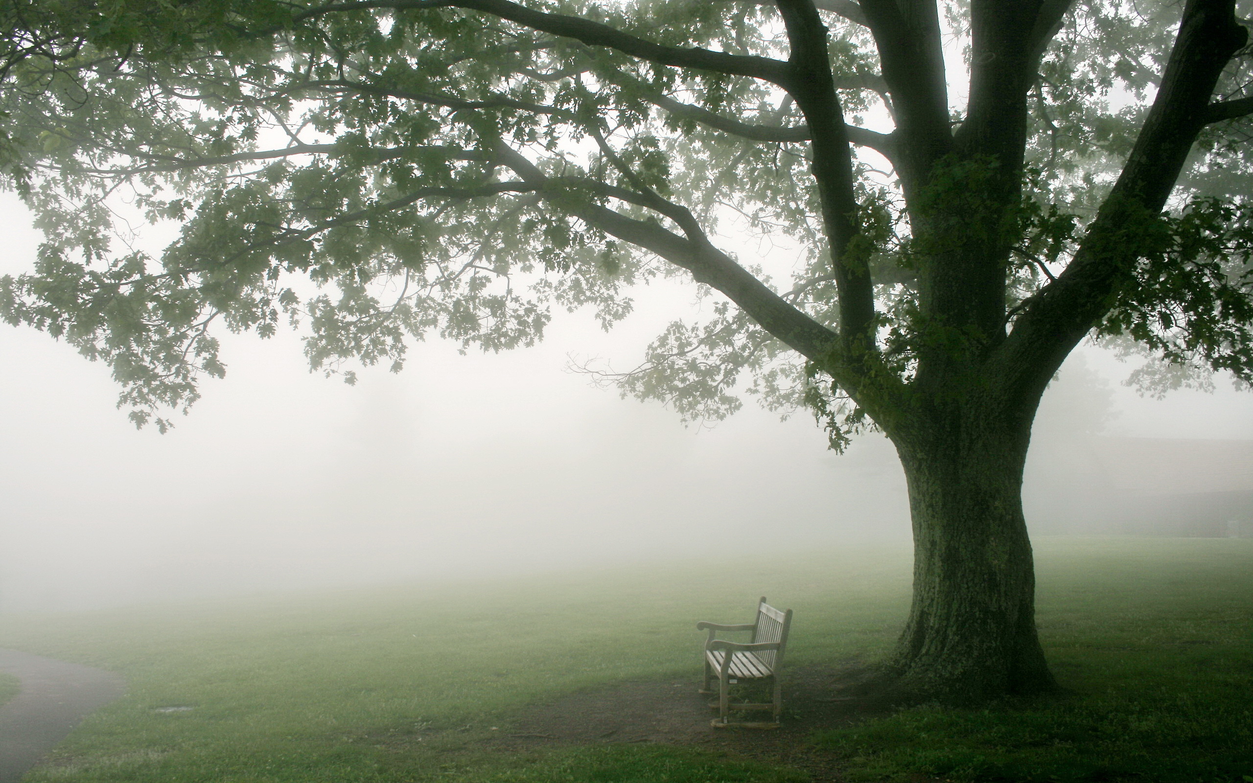лавочка скамейка туман человек без смс