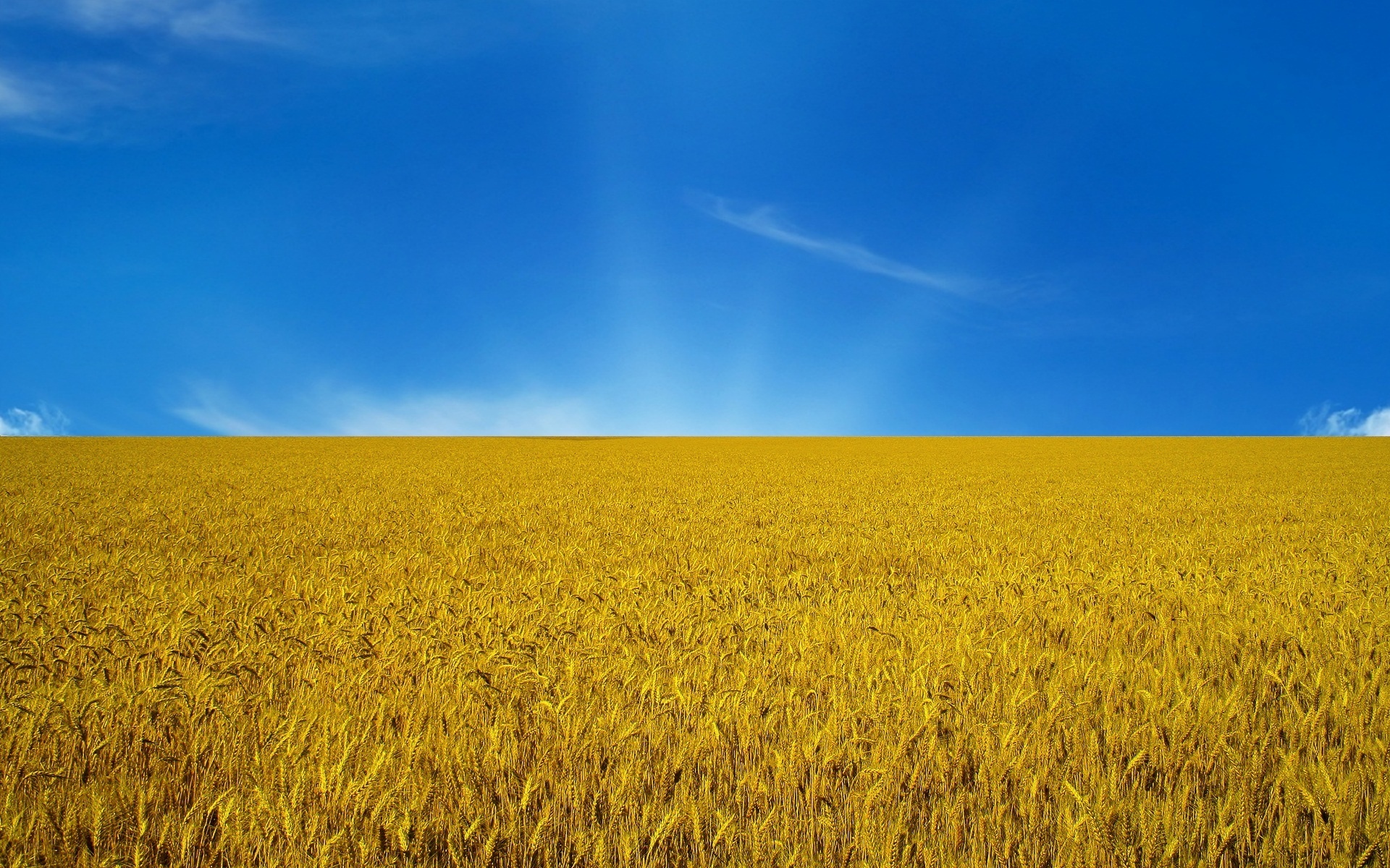 flag, небо, украина, флаг