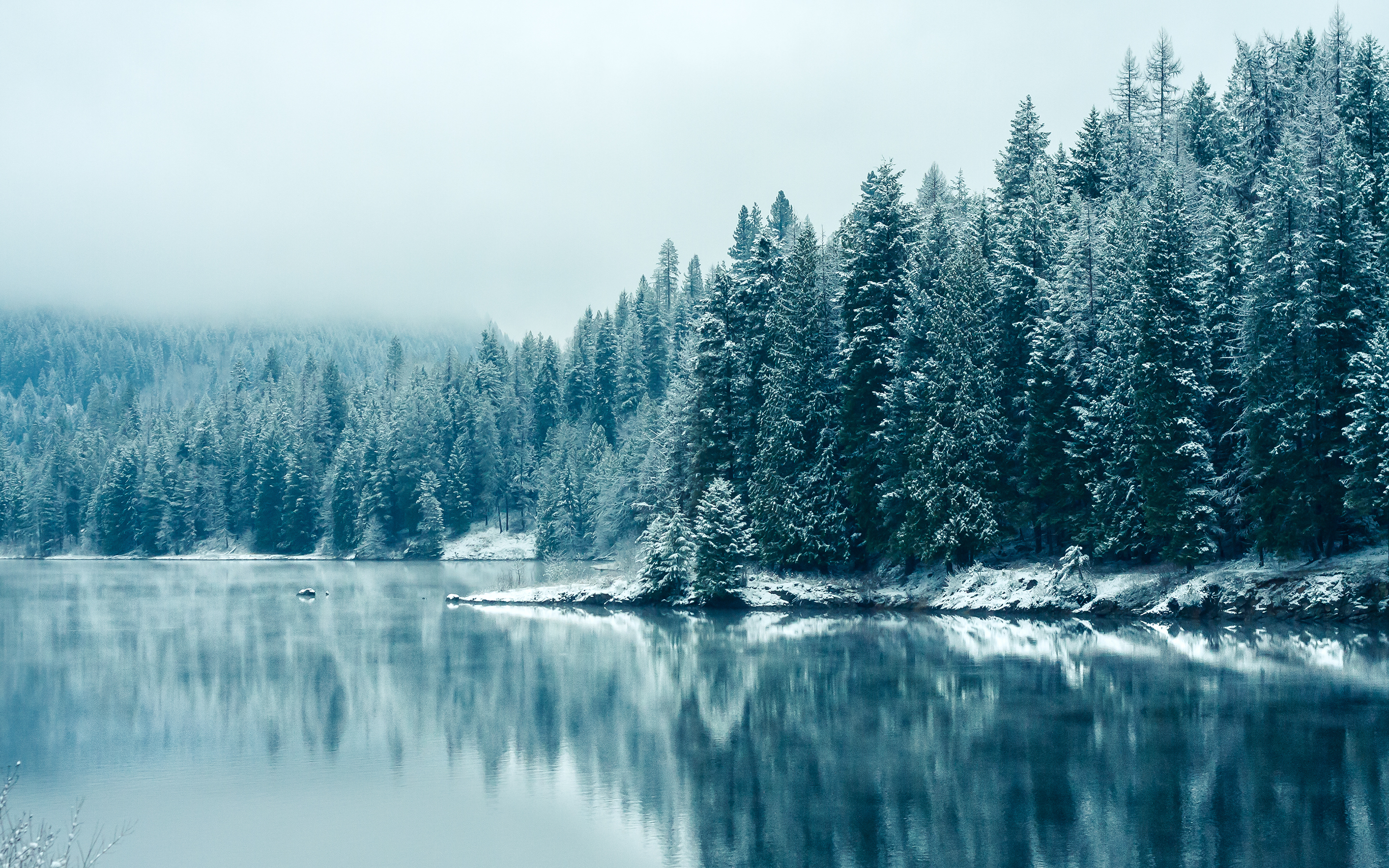 Снег вода зима деревья бесплатно