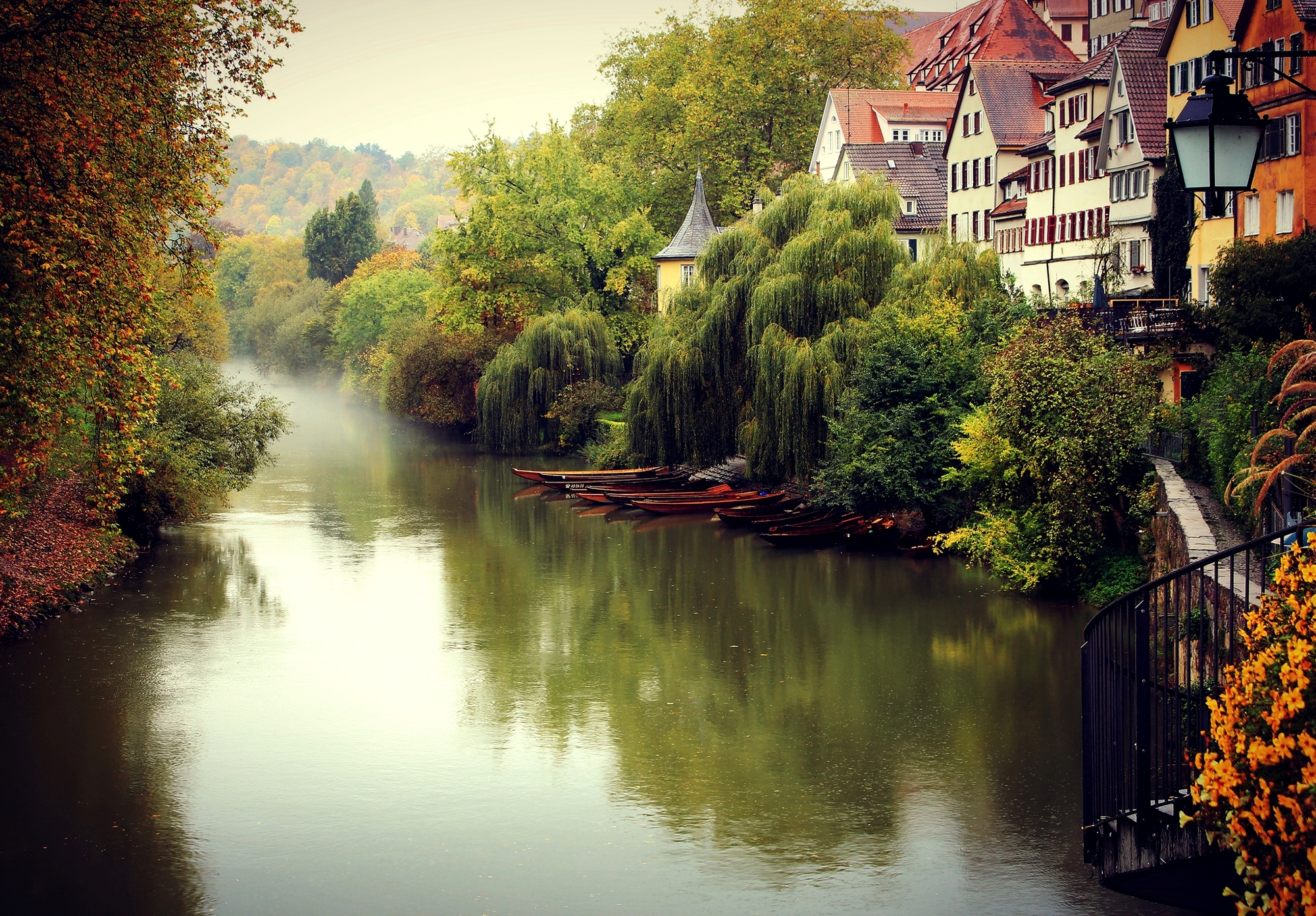 deutschland, Tübingen, германия, город, деревья, дома, здания, осень, река, туман, Тюбинген