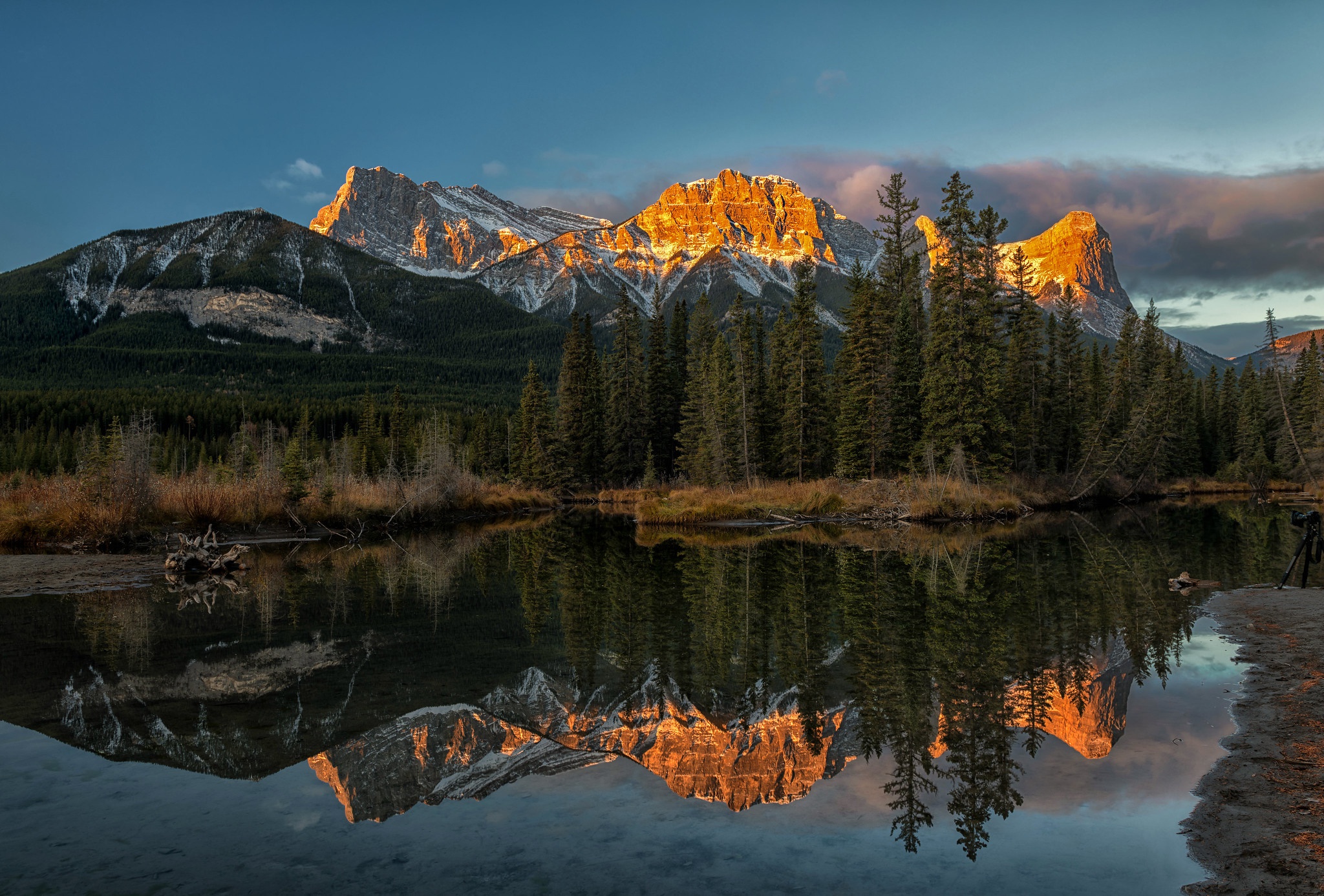 Backpage Alberta Canada